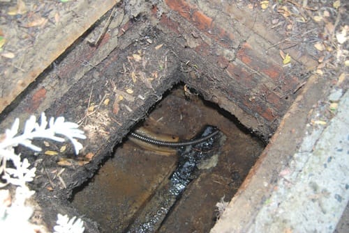 Blocked-Drains13