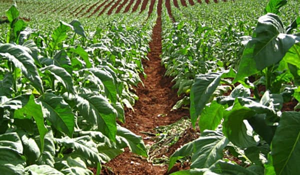 land reforms