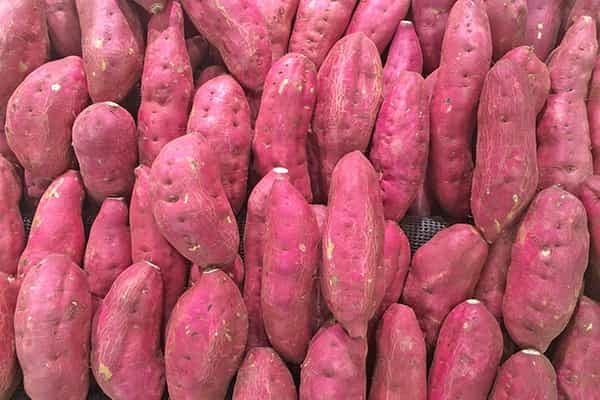 Sweet-potatoes