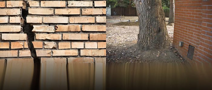 wall tree damage