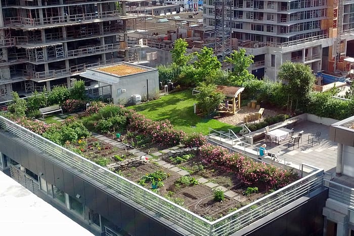 Green roof garden