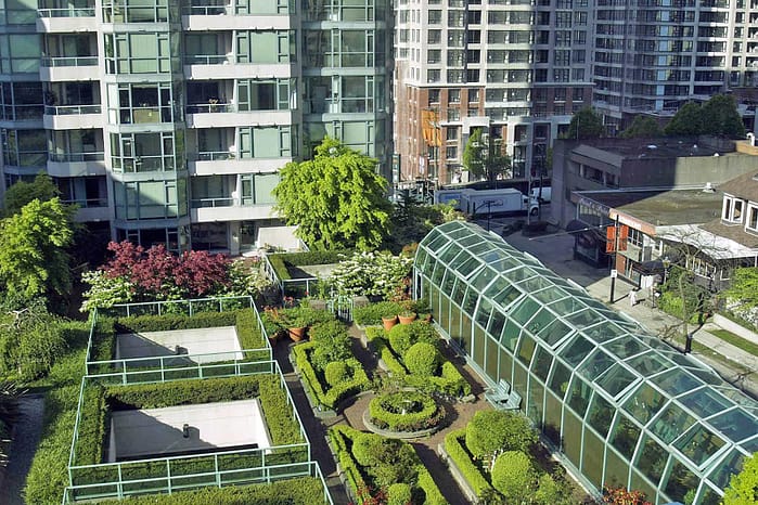 green roof garden