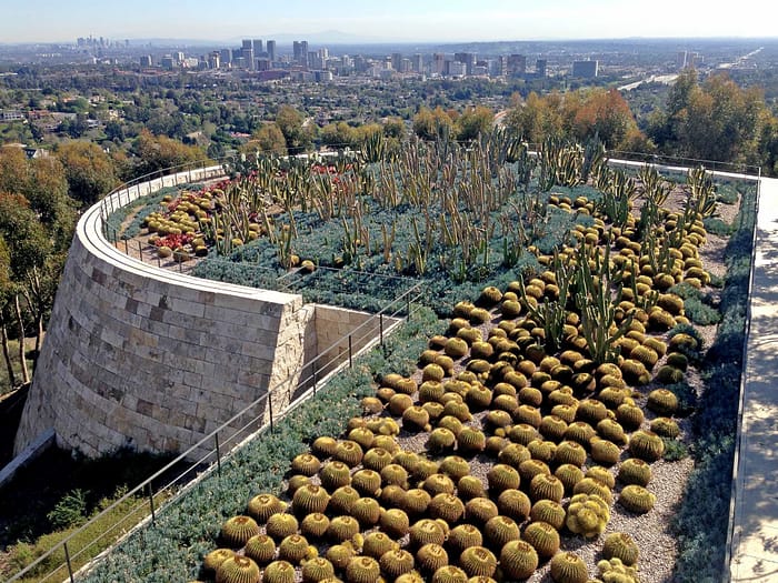 Green Roof cactus garden