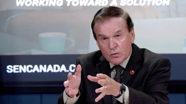 Senate committee recommends improvements to COVID-19 emergency programs | CBC News